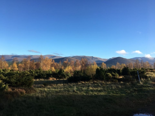  Hermosos colores nos rodean 